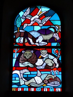 Psalm Bild